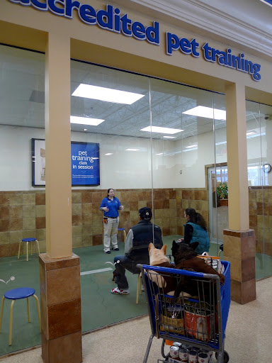 Sharkey, I see an English bulldog leaving one of the pet training classes they offer at PetSmart.  Let's ask him how he liked it!