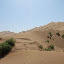 Dunes et verdure