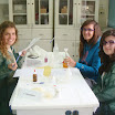 DSC00468.JPG