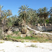 Tunesien-04-2012-104.JPG