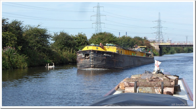 SAM_2936 Fusedale H SAM_2936 Fusedale H