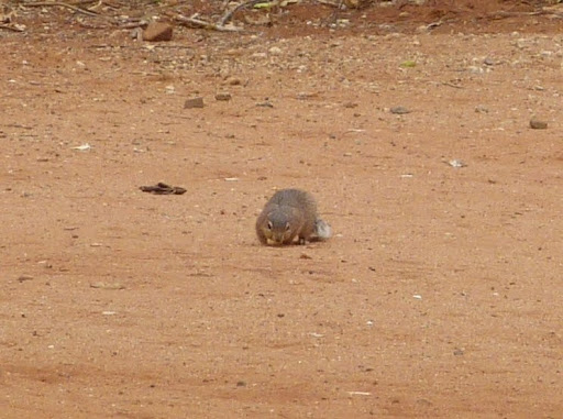 P1090205