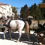 La carrozza.JPG