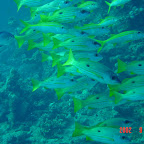 DSC00181.JPG
