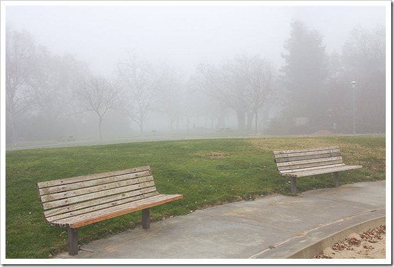 111220_fog_benches