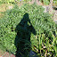 DSC01312.JPG