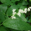 DSCF3810.JPG