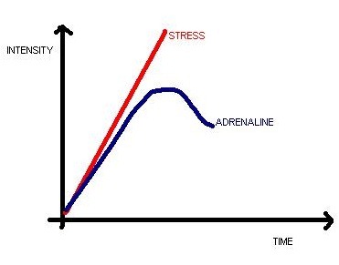 [stress-graph%255B10%255D.jpg]