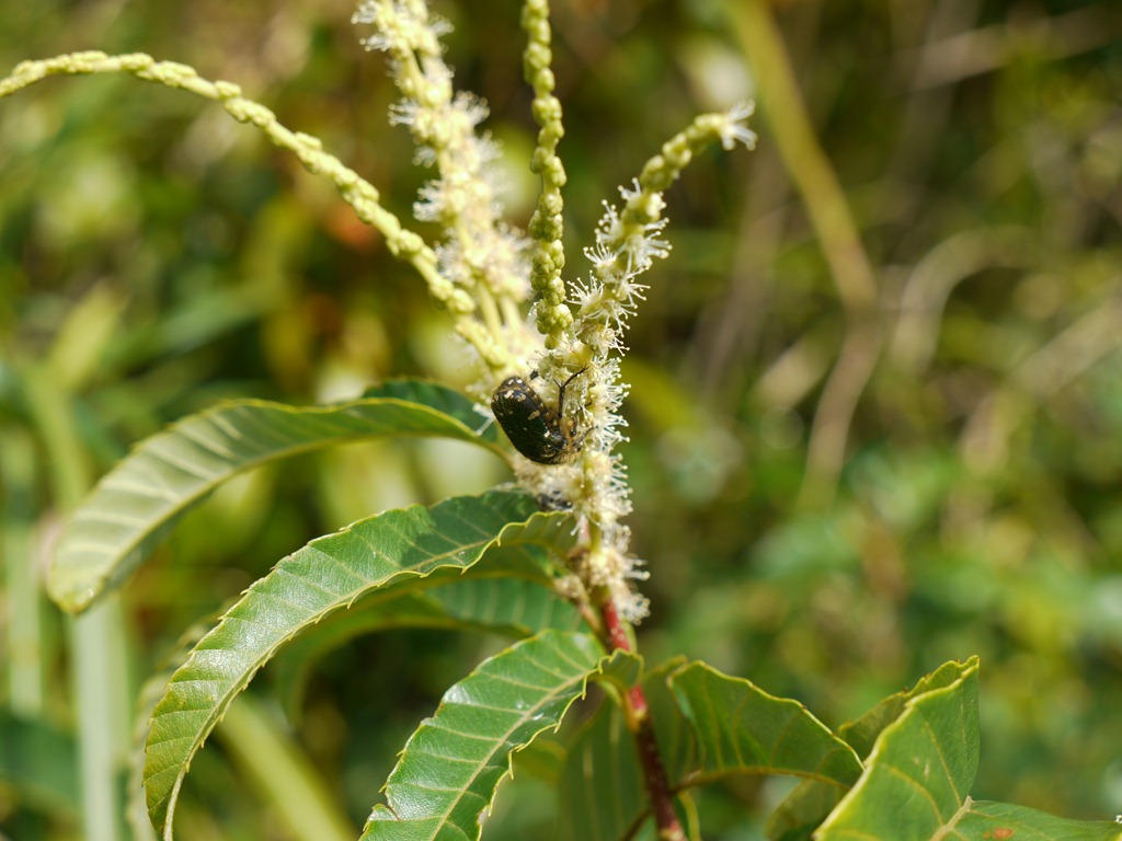 [P1060881%255B3%255D.jpg]