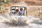 p1231247715(3).jpg