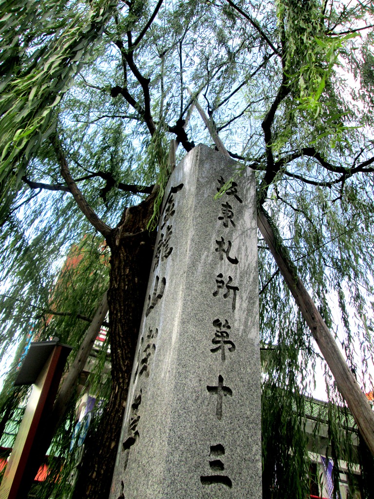 [IMG_19344.jpg]