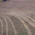R0027537.JPG