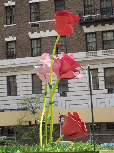 The Roses are 