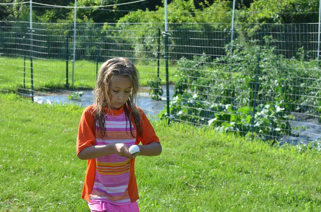 [DSC_4822%255B4%255D.jpg]