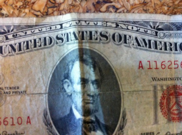 Ross Jeffries Pua Expert On Dollar Portrait, Ross Jeffries