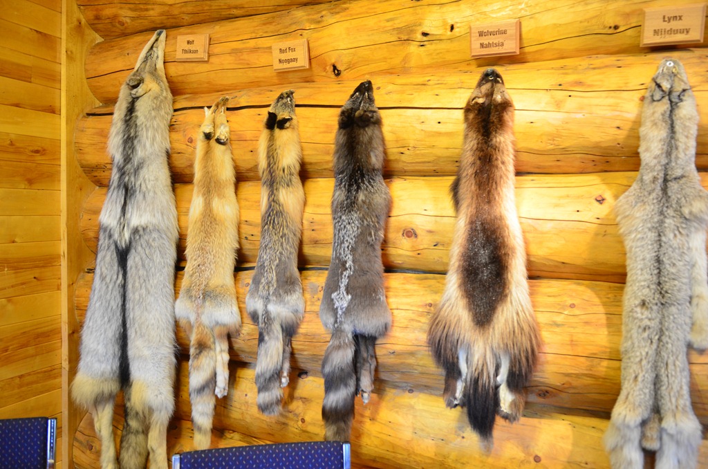 [To%2520Tok%2520Day%252027_3278%255B4%255D.jpg]