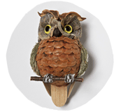 Anthro 111011trim-owl