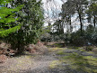 gate beyond cottage