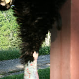 TRIP 120505