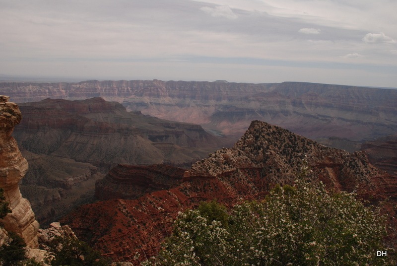 [05-17-13-B-Grand-Canyon-North-Rim-Dr%255B6%255D.jpg]