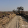 dsc06945.jpg