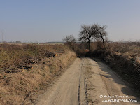 dsc06945.jpg