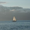 AIG_5930.JPG