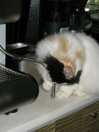 I don't know, but she does look really determined.