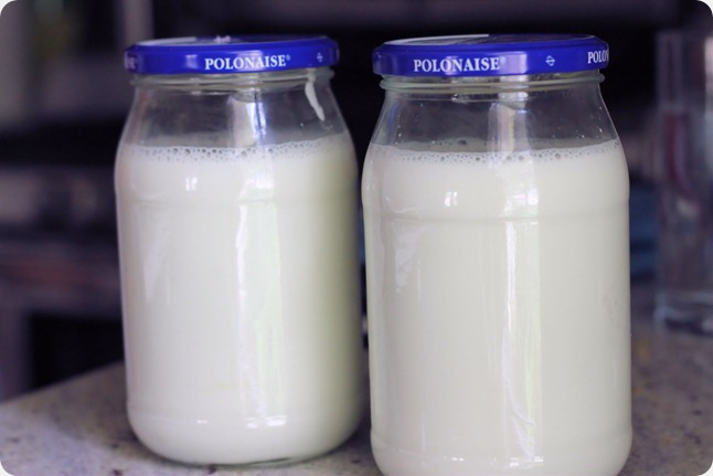 homemade_yogurt_recipe