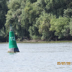 IMG_4251.JPG
