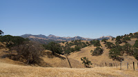 DSC02920.jpg