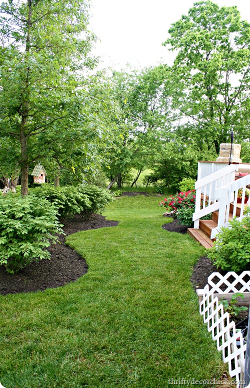 backyard garden