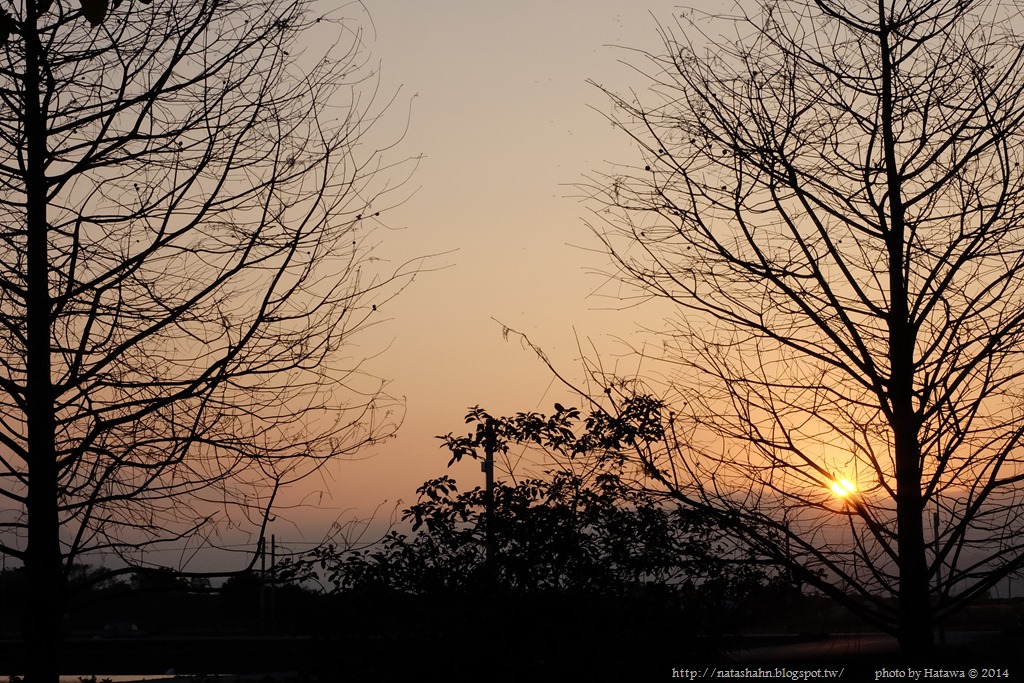 [DSCF0807.jpg]