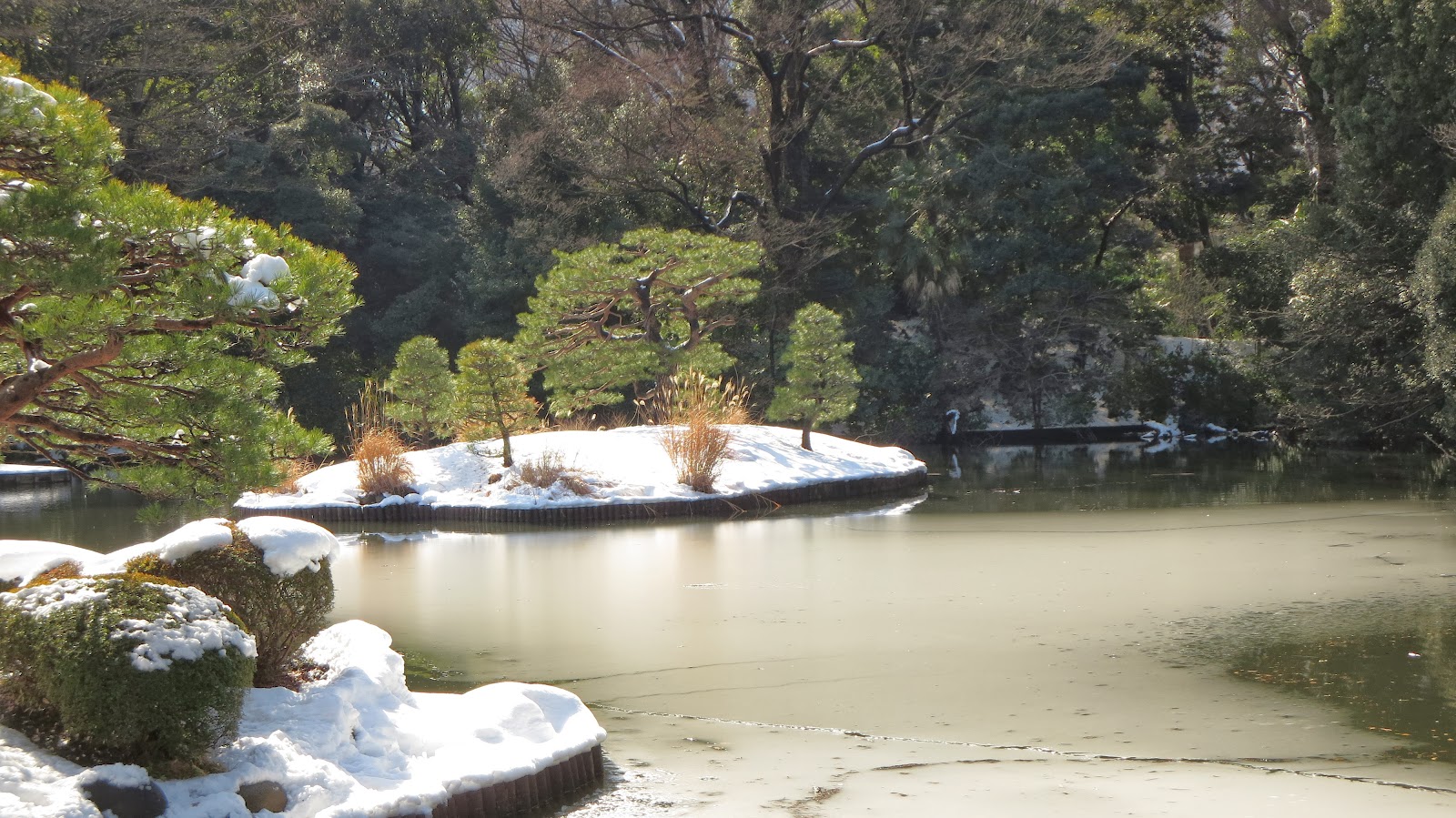 [IMG_0318%255B3%255D.jpg]