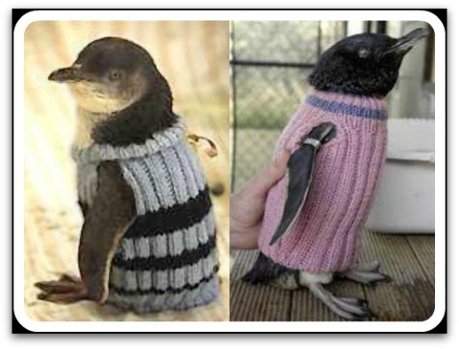 [penguinsweater5%255B3%255D.jpg]