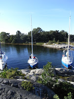 RIMG0233.JPG