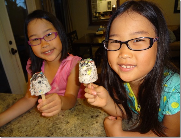 Ice Cream Pops 035