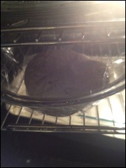 IMG_3721 IMG_3721