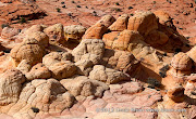 The Wave, Coyote Buttes, Arizona