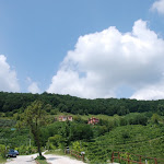 DSC_7555_800x536.JPG