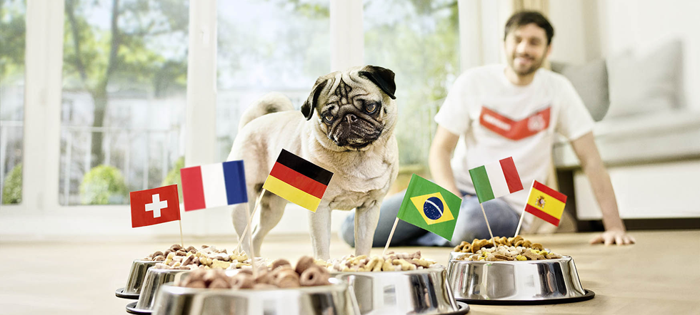 [mdb_149298_db_mops_orakel_einfach_980x442%255B3%255D.png]