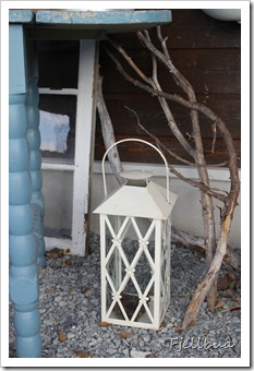 IMG_0310 IMG_0310