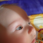 SAM_1054.JPG