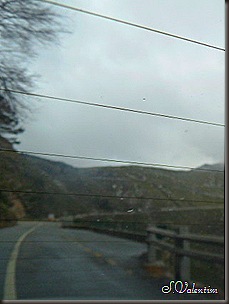 SAM_0301 SAM_0301