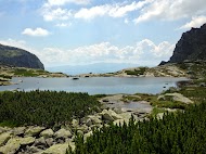 IMG_1594.jpg