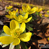 dsc07163.jpg