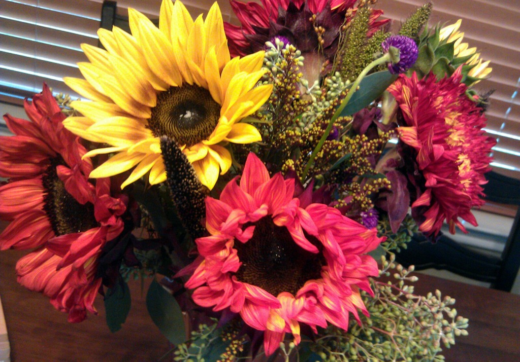 [flowers%255B3%255D.jpg]