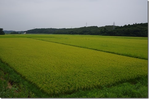 IMGP8700 IMGP8700