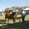 superleite2011_dia1507_127.JPG