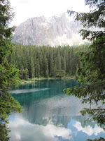 Lakeside view Pine forest